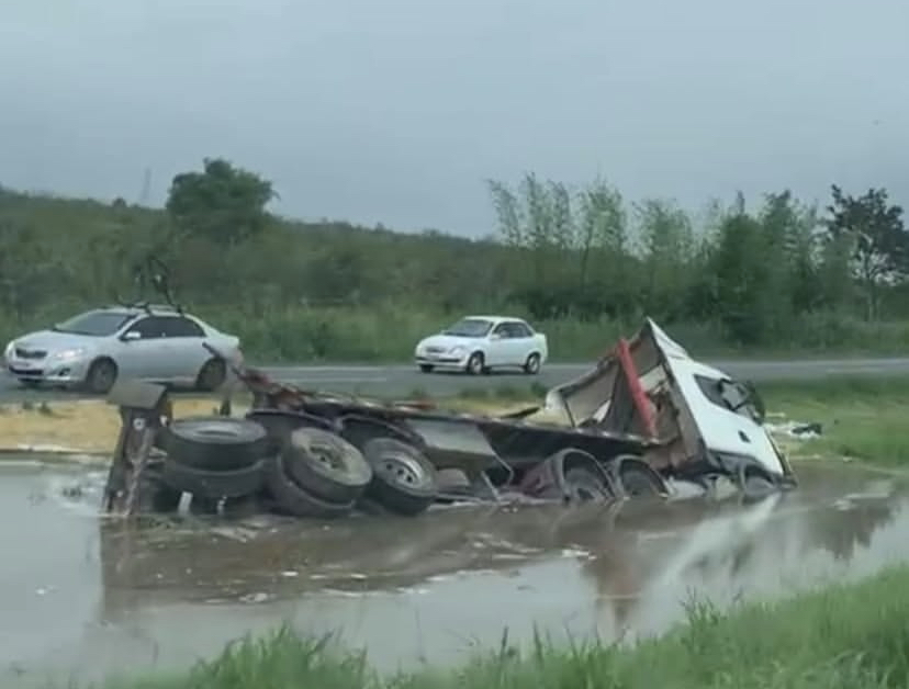 2DE19363-9F61-4BD1-B116-048C5526EEA2